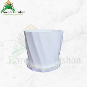 Camellia Planter With Tray 6 Inch