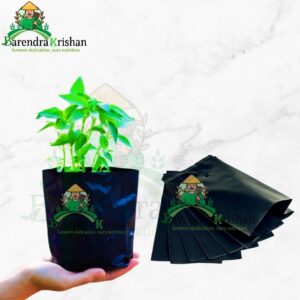 Nursery Black Poly Bag 6/6 inch 40 pcs (with Holes & Folds)