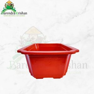 Classic Design Plastic Orange Bonsai Pot - 38cm