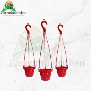 Orchid Planter - 3Pcs