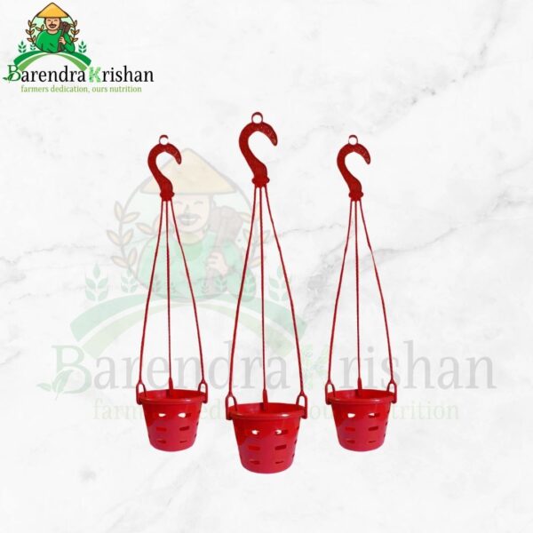 Orchid Planter - 3Pcs