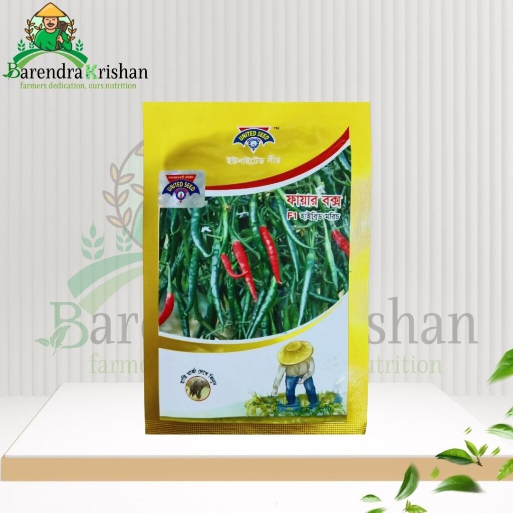 Fire box Hybrid (F1) Chili Seed 05gm-āĻĢāĻžā§āĻžāϰ āĻŦāĻā§āϏ āĻŽāϰāĻŋāĻ
