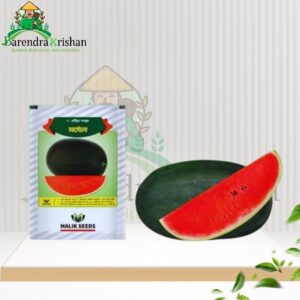 Marcelo (F1) Watermelon 10gm - মার্সেলো