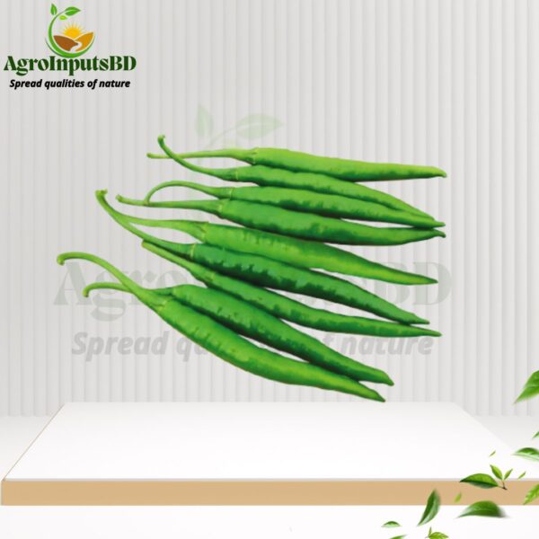 Zedi 1701 Hybrid (F1) Chili Seed 05gm-জেদী ১৭০১ মরিচ - Image 2