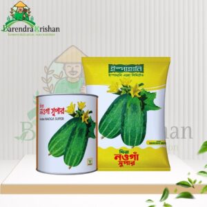 Naogaon Super Khira Cucumber Seed 10gm-নওগাঁ সুপার খিরা