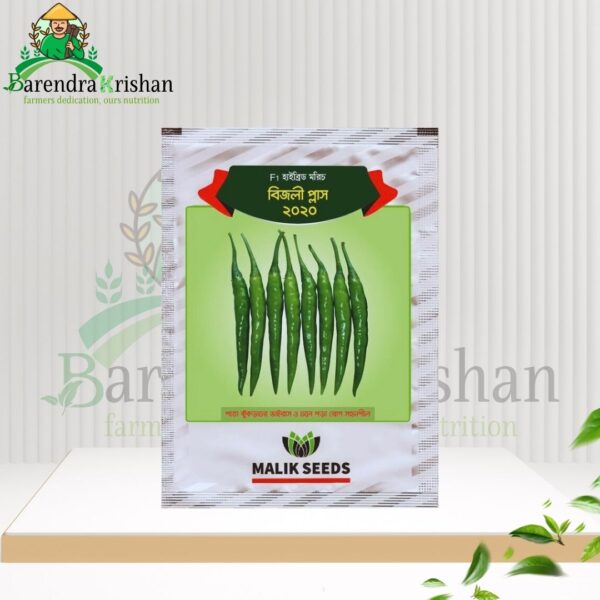Bijlee Plus 2020 Hybrid (F1) Chili Seed 10gm-বিজলী প্লাস ২০২০