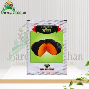Monica Hybrid (F1) Pumpkin Seed 10gm-মিষ্টি কুমড়া মনিকা