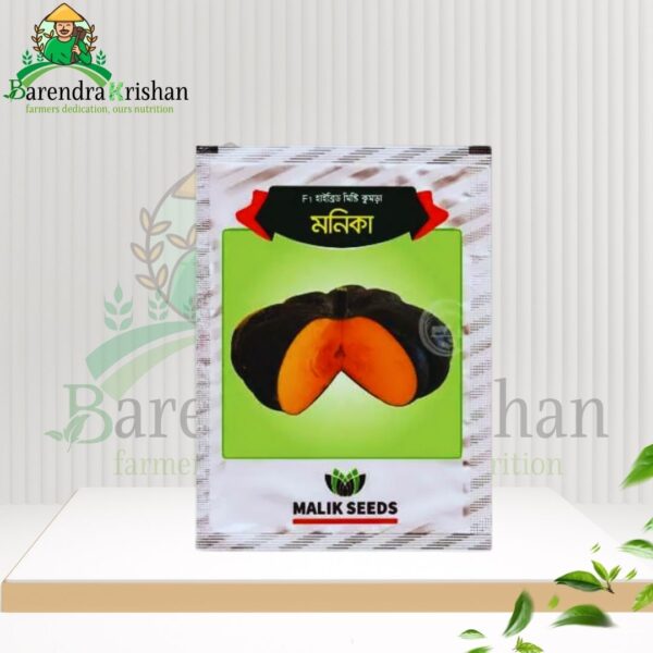 Monica Hybrid (F1) Pumpkin Seed 10gm-মিষ্টি কুমড়া মনিকা