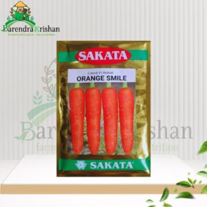 Orange Smile Hybrid (F1) Carrot Seed 50gm-অরেঞ্জ স্মাইল গাজর