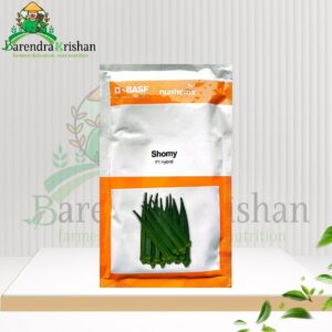 Shomy Hybrid (F1) Okra Seed 10gm-সুমি ঢেঁড়স