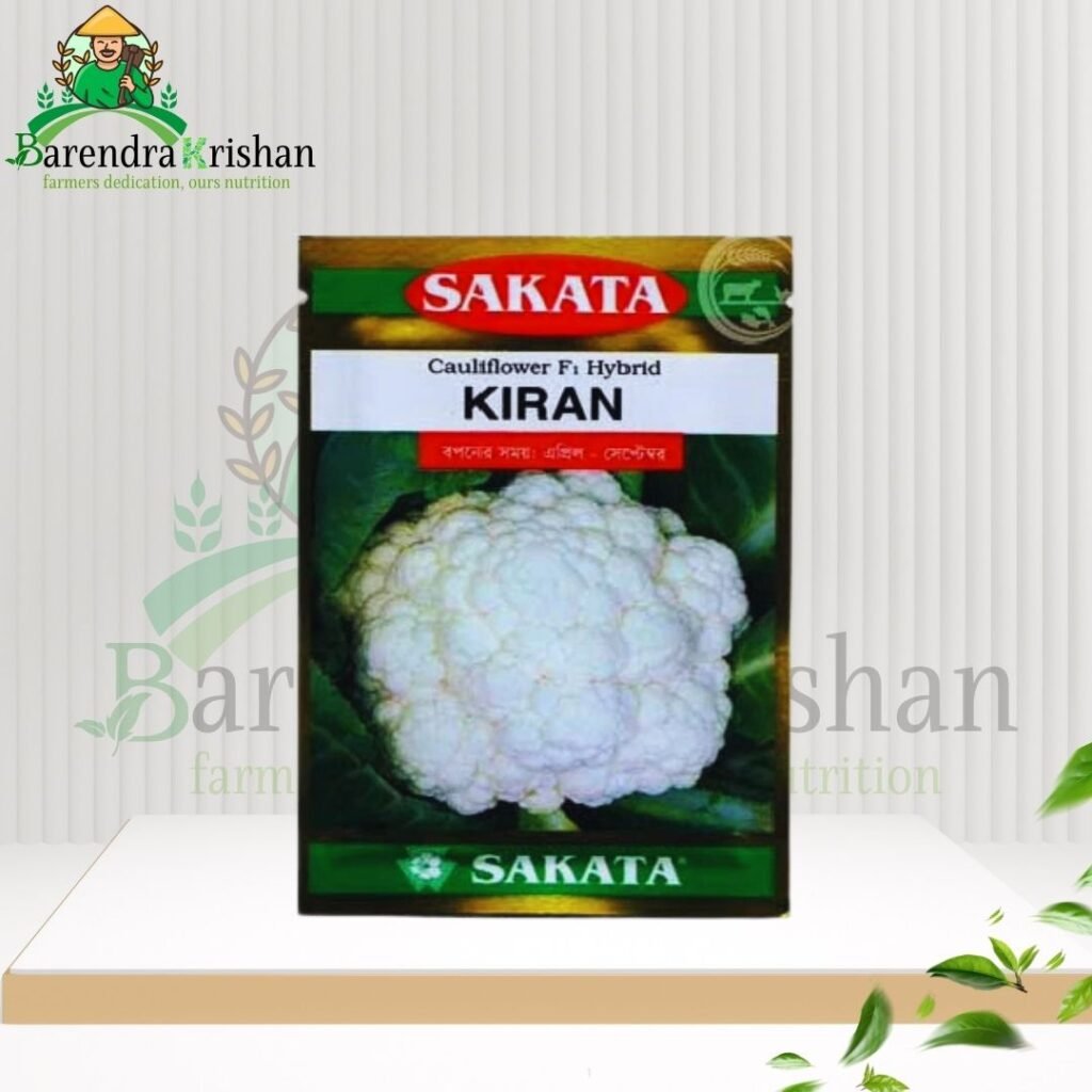Kiran Hybrid (F1) Cauliflower Seed 10gm-কিরন ফুলকপি