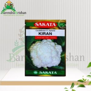 Kiran Hybrid (F1) Cauliflower Seed 10gm-কিরন ফুলকপি