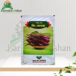 King Kobra Hybrid (F1) Brinjal Seed 05gm-কিং কোবরা বেগুন