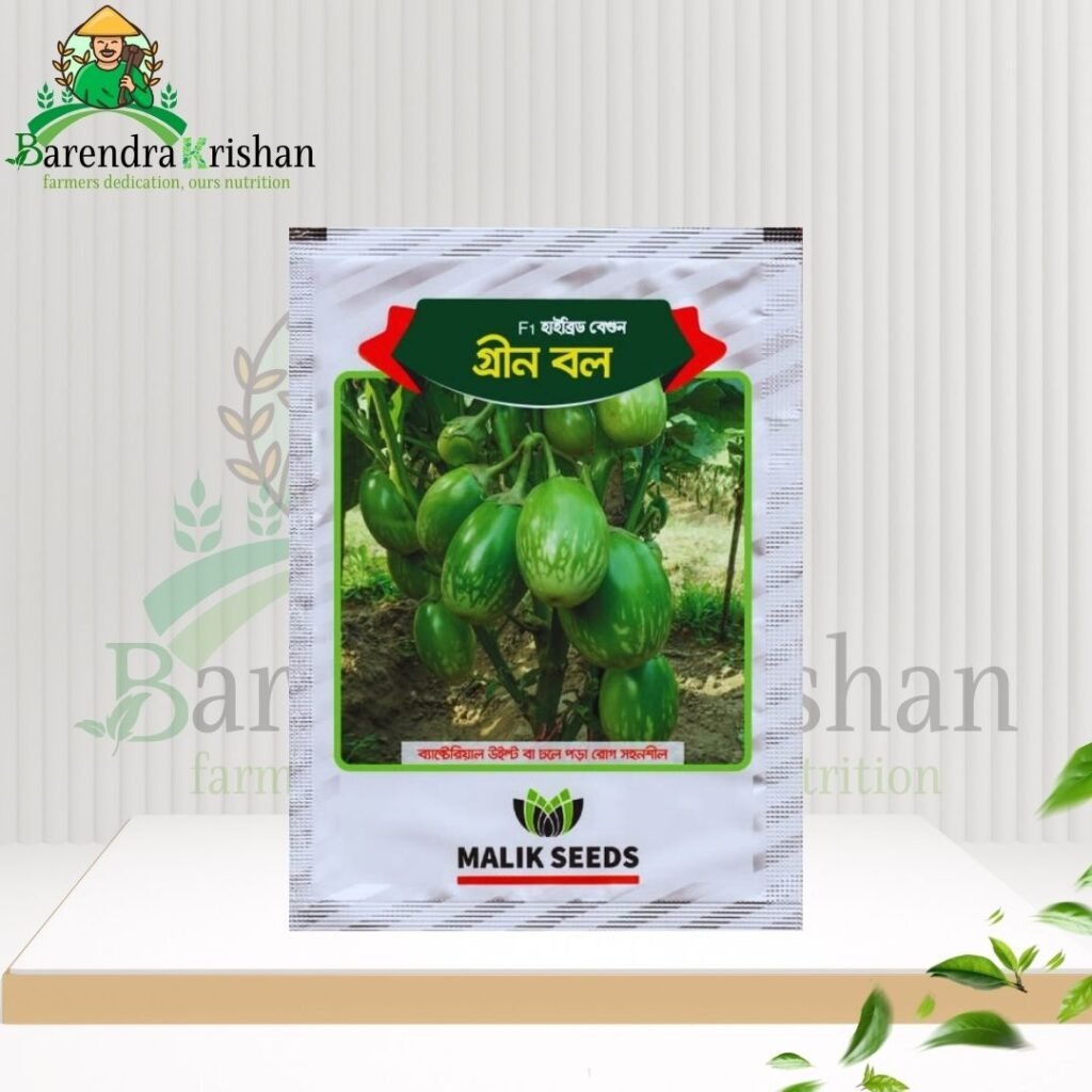 Green Ball Hybrid (F1) Brinjal Seed 05gm-গ্রীন বল বেগুন