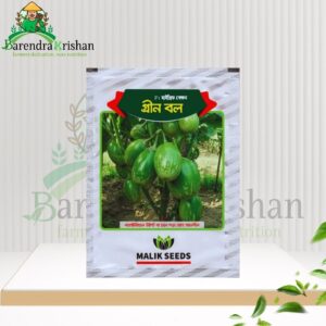 Green Ball Hybrid (F1) Brinjal Seed 05gm-গ্রীন বল বেগুন
