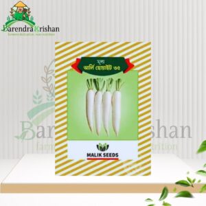 Early White 35 Hybrid (F1) Radish Seed 500gm-আর্লি হোয়াইট ৩৫মুলা