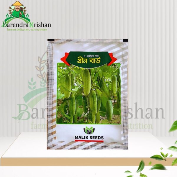 Green Bird Hybrid (F1) Cucumber Seed 05gm-গ্রীন বার্ড শসা