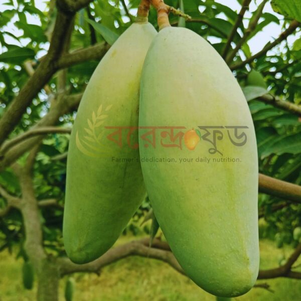 Banana Mango (12KG) ব্যানানা