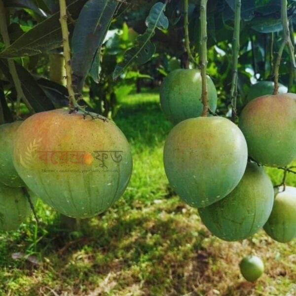 Bari-4 Mango (20kg) বারি-৪