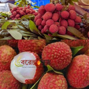 Bombay Lychee (100pcs) বোম্বাই