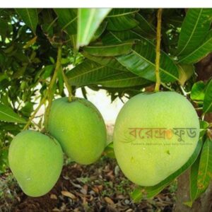 Himsagar Mango (20kg) হিমসাগর