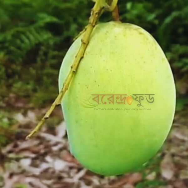 Langra Mango (20kg) ল্যাংড়া