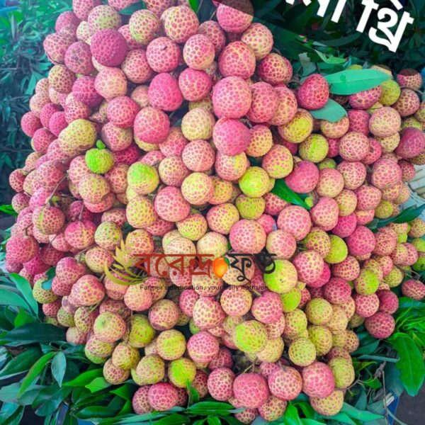 China-3 Lychee (100pcs) চায়না-থ্রি - Image 2
